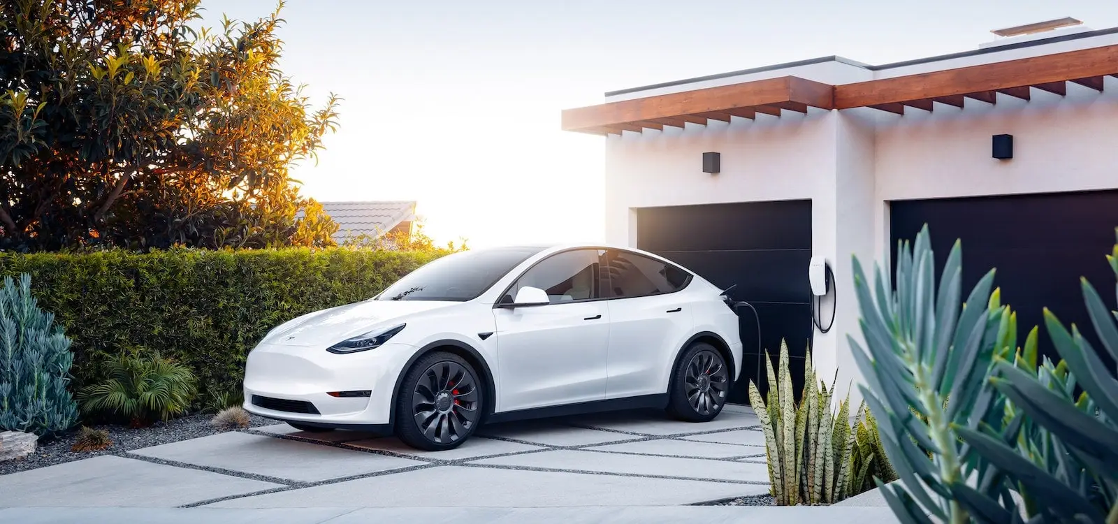 Trusted partner of DEWA for more than a decade